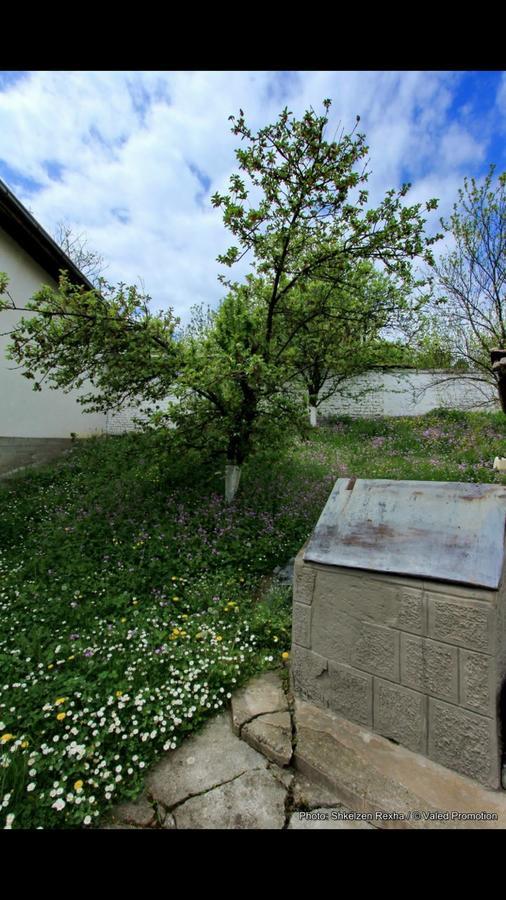 לינה וארוחת בוקר Gjakova Bujtina Zhaveli מראה חיצוני תמונה